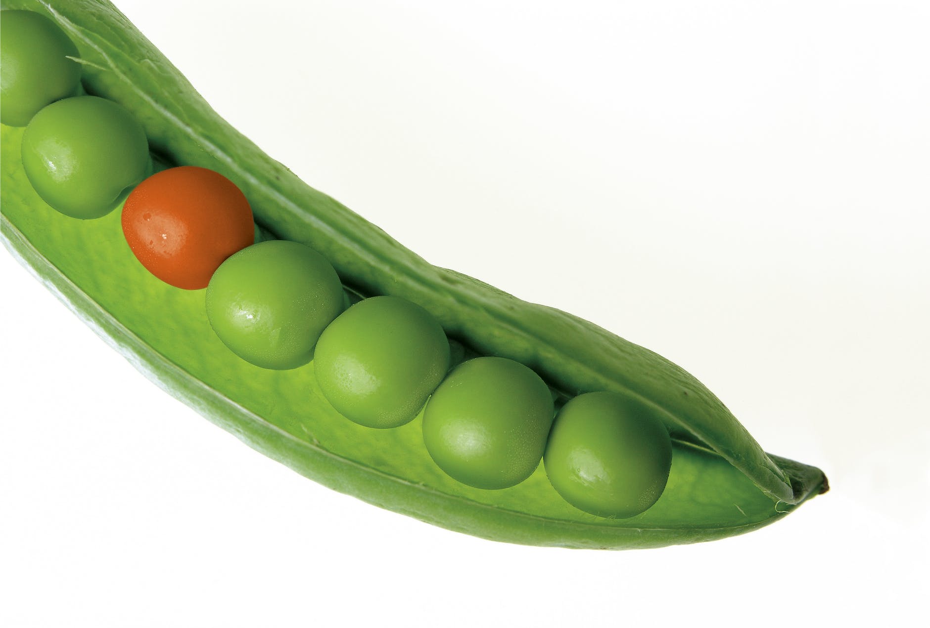 10 Healthy Foods to Lose Weight 8 food eating plant harvest
