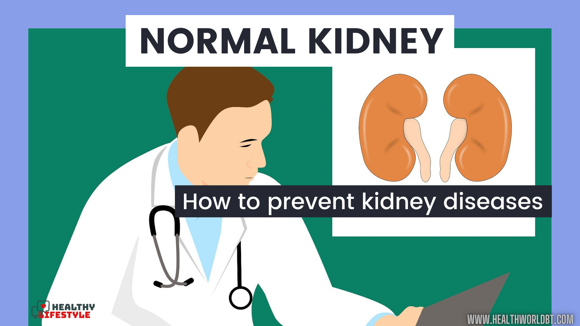 normal kidney