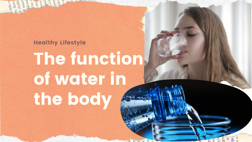 7 Important Function of Water in the Body » Healthy Lifestyle