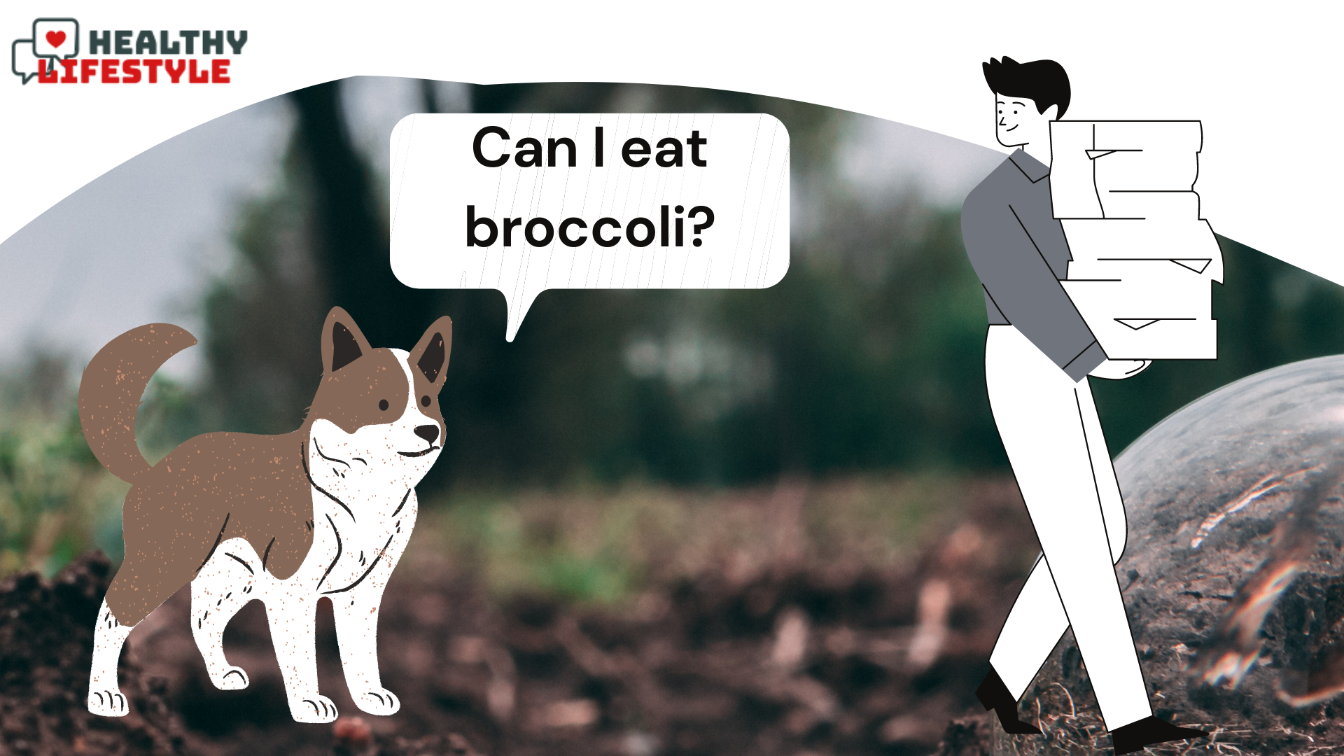 Can Dogs Eat Broccoli? Top 5 Vegetables For Your Dogs