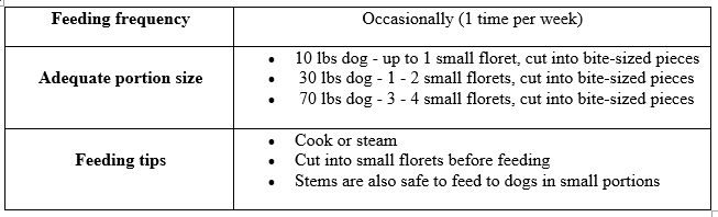 Can Dogs Eat Broccoli? Top 5 Vegetables For Your Dogs 2 feeding guidelines for broccoli