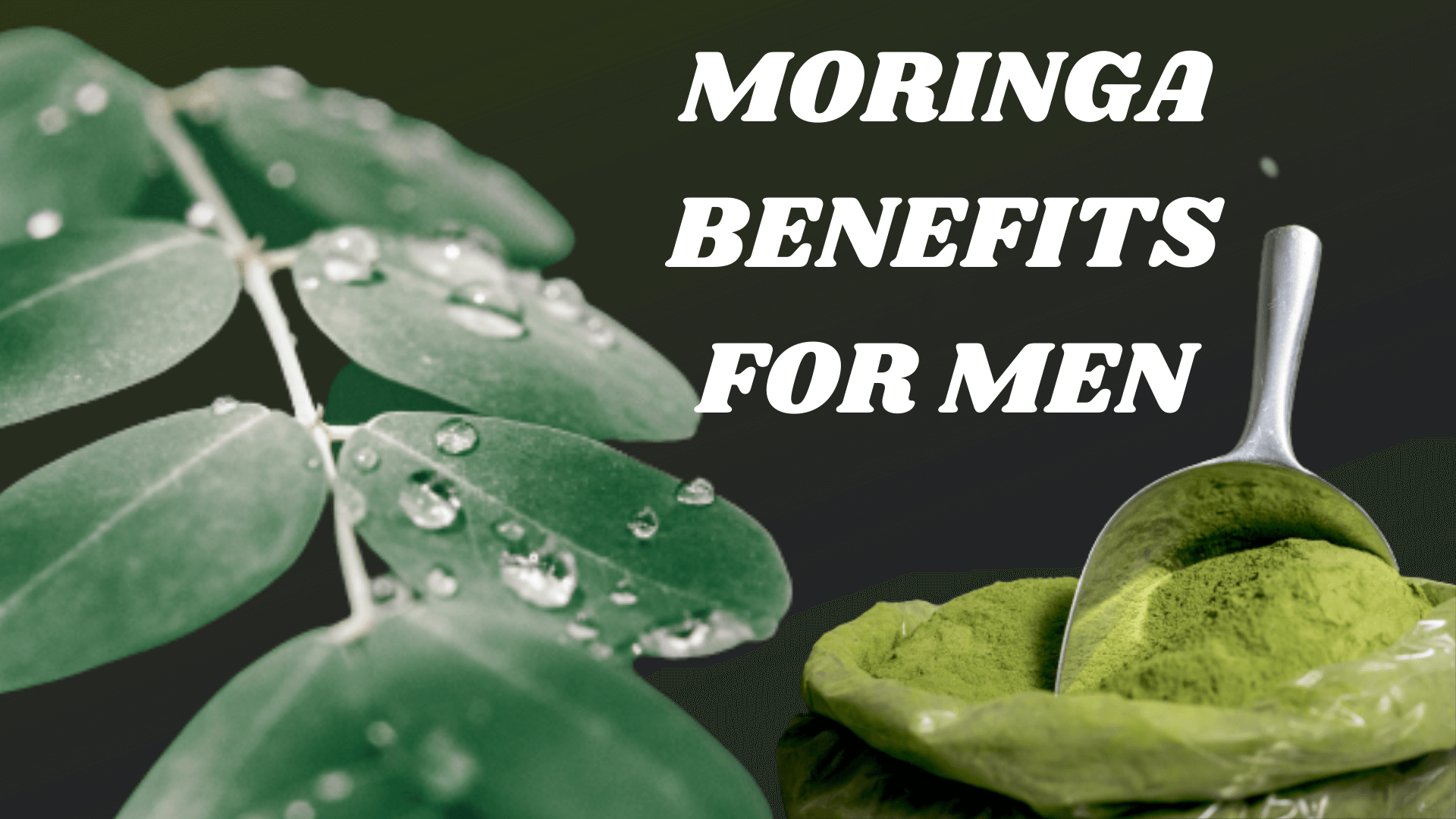 5 Impressive Moringa Benefits for Men » Healthy Lifestyle