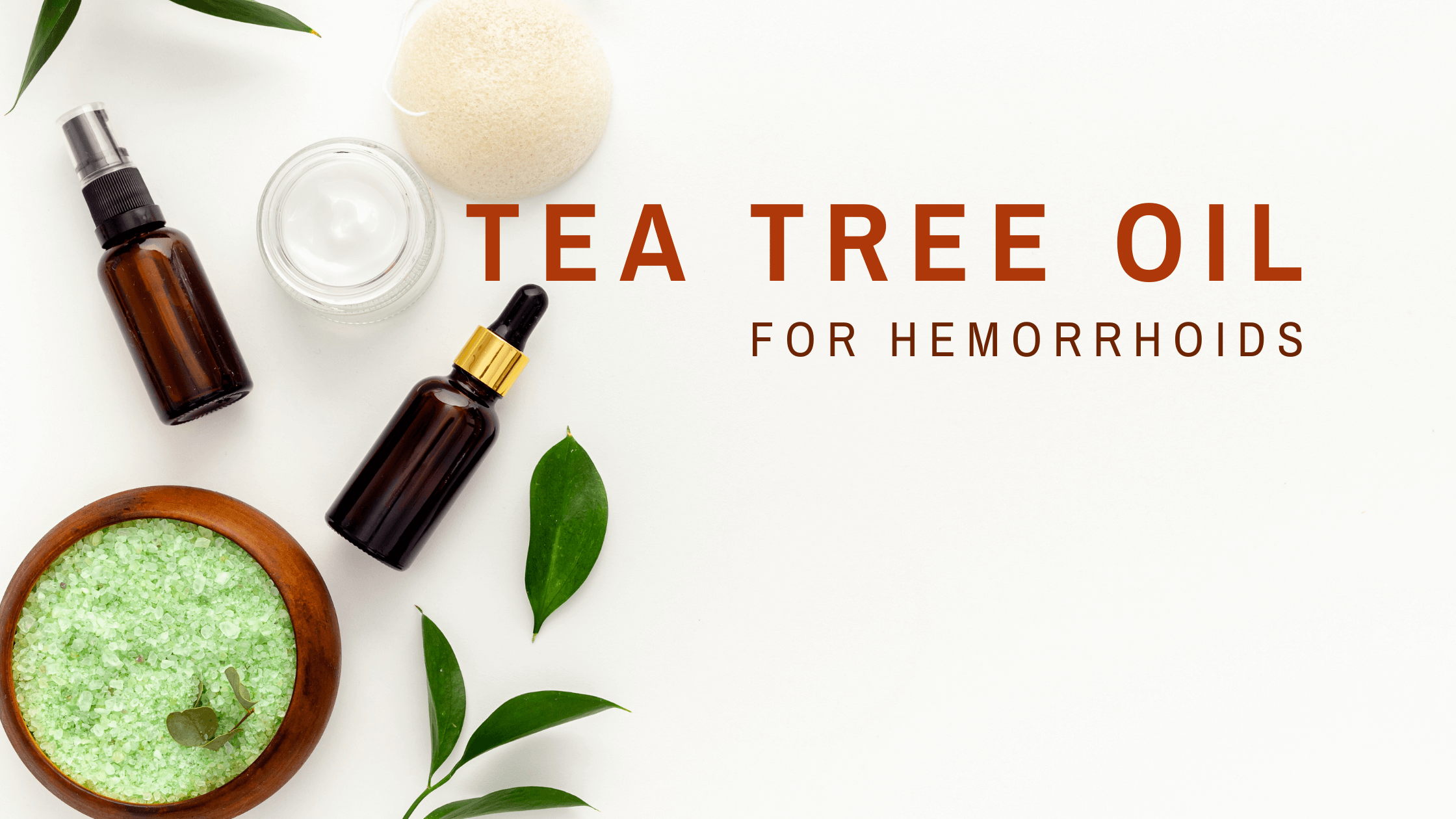 tea tree oil for hemorrhoids