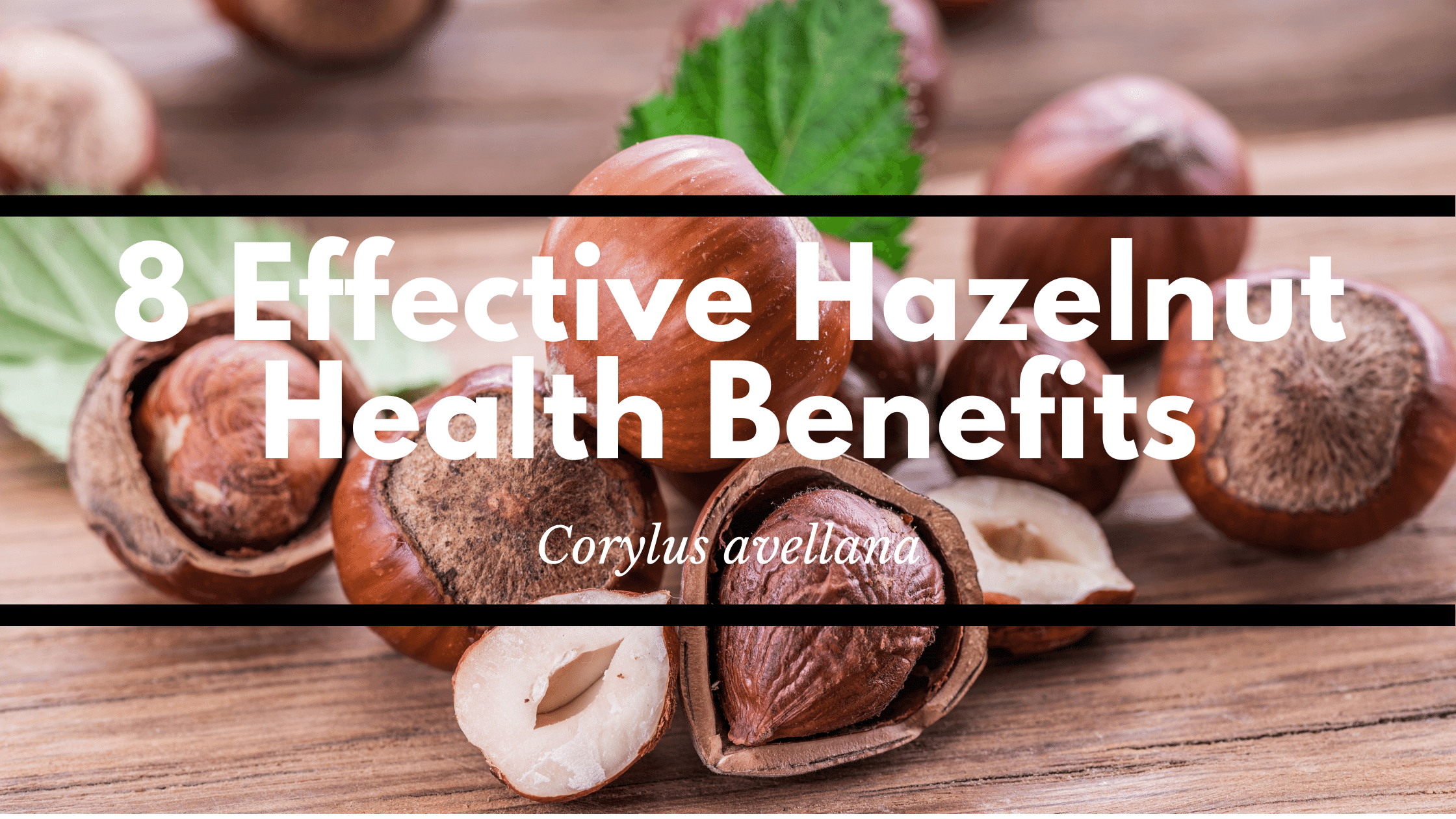 8 Effective Hazelnut Health Benefits » Healthy Lifestyle