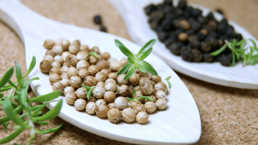 white or black peppercorn