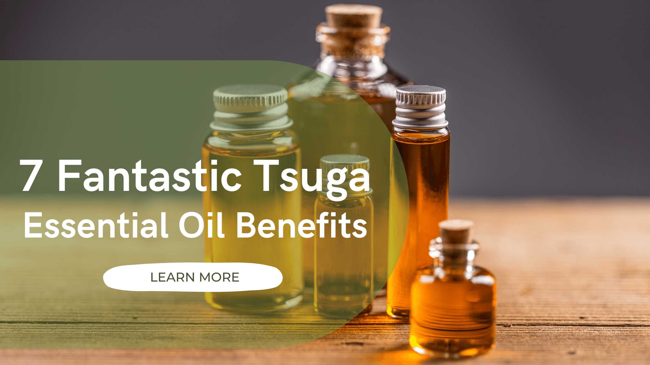 tsuga essential oil benefits