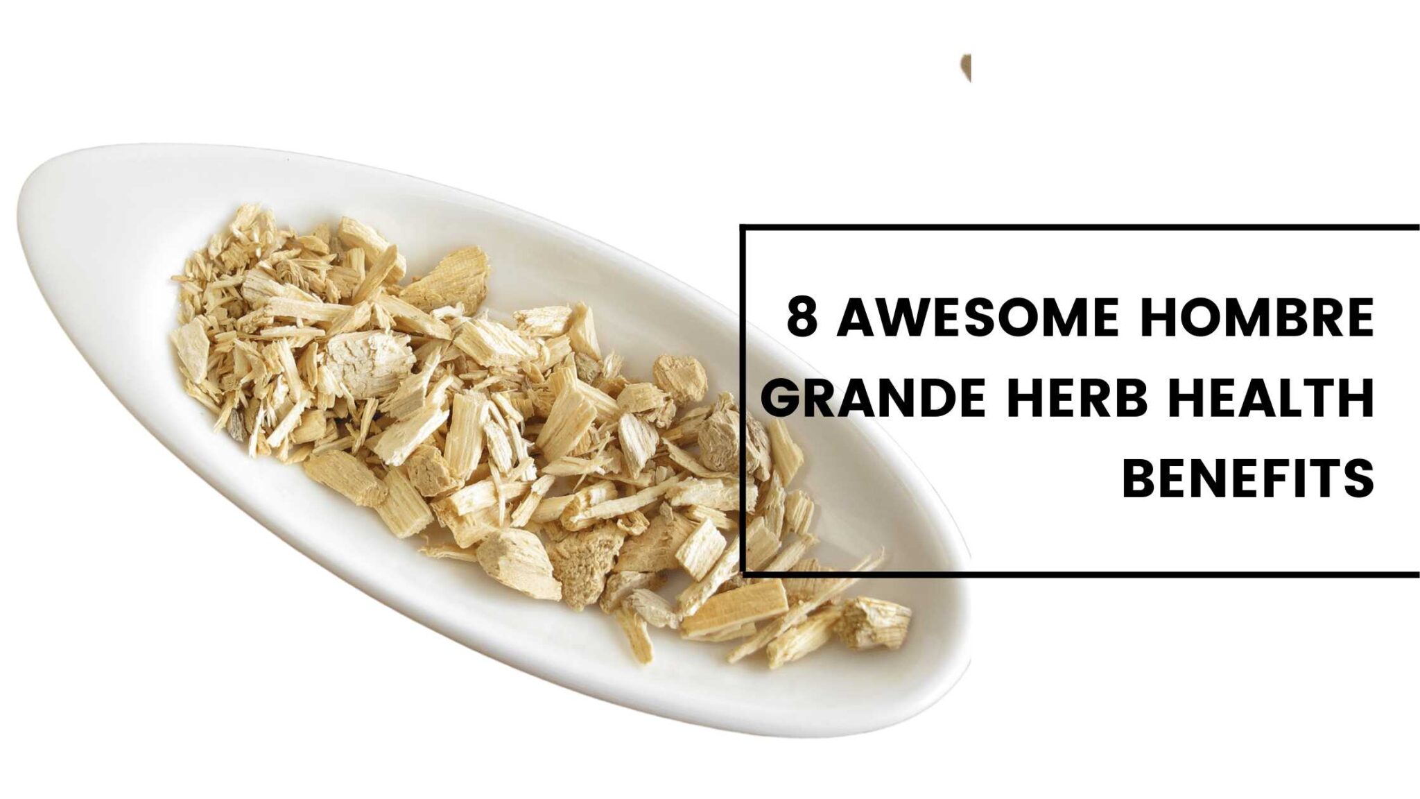 8 Awesome Hombre Grande Herb Health Benefits