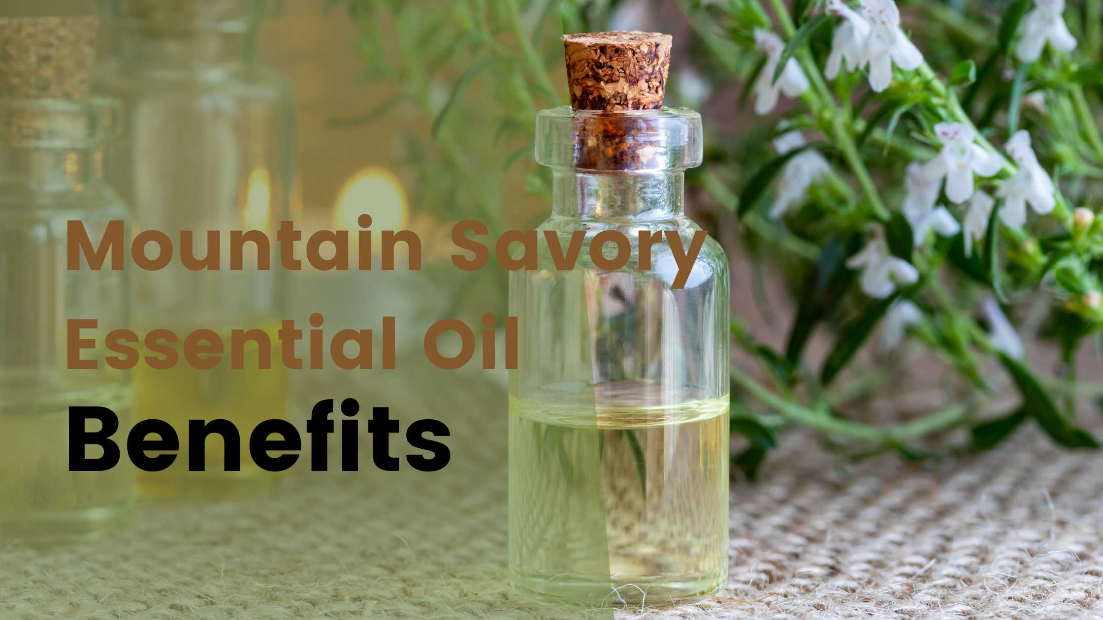 mountain savory essential oil