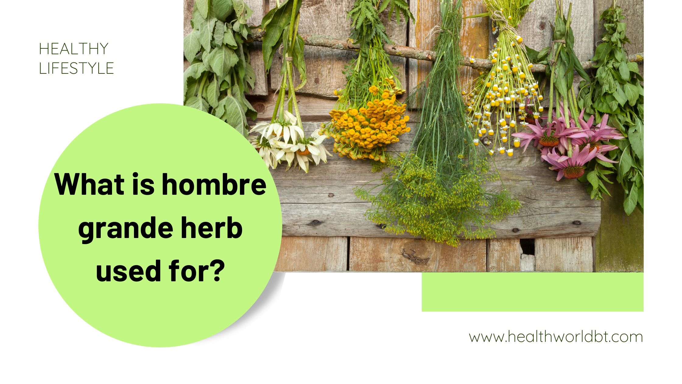 hombre grande herb