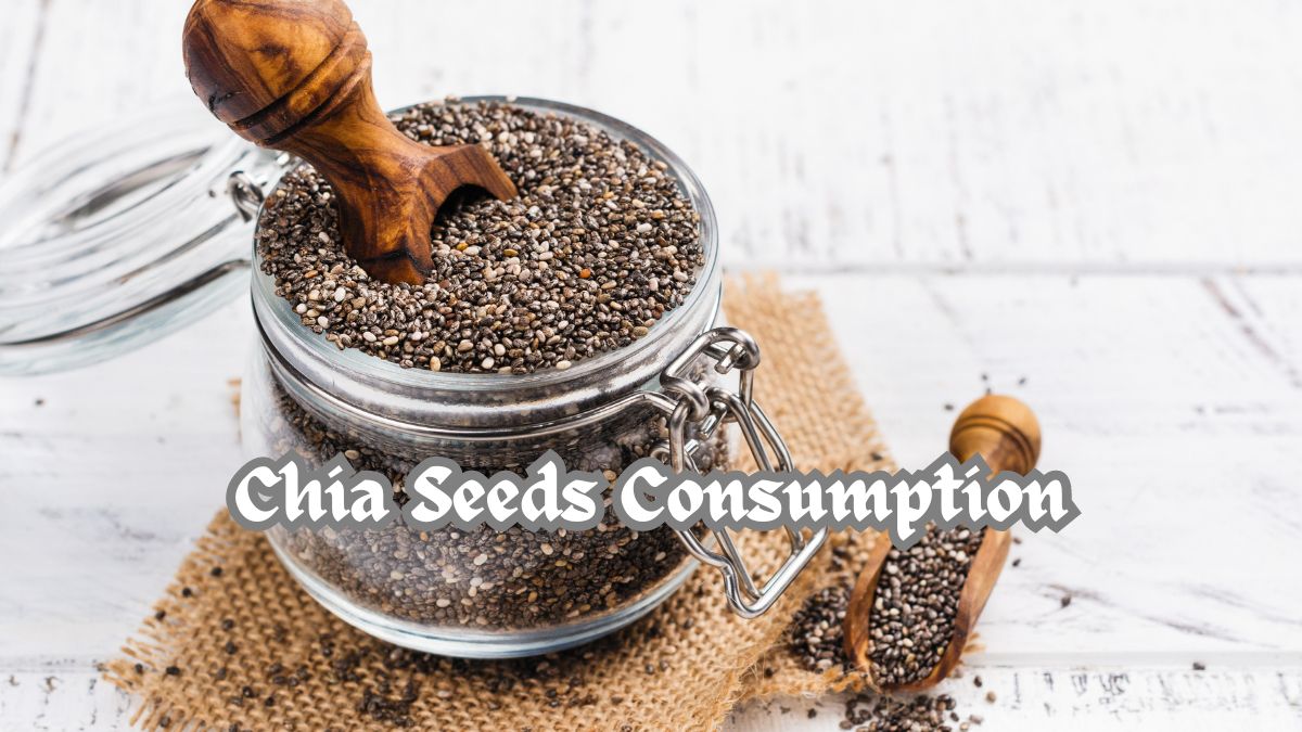 View of 7 Side Effects of Chia Seeds Consumption » Healthy Lifestyle