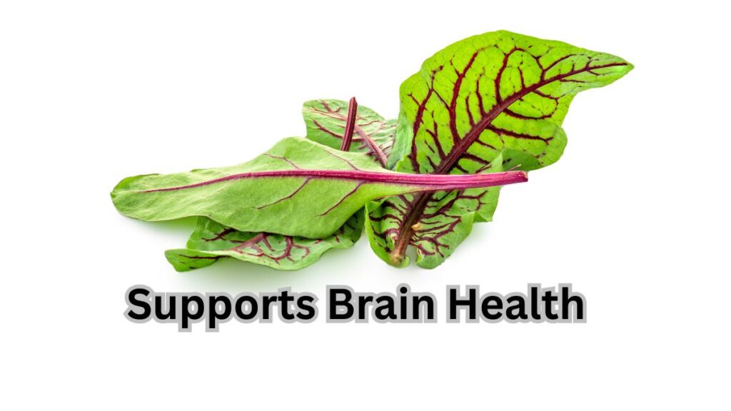 Cognitive Benefits: How Beet Greens Support Brain Health?
